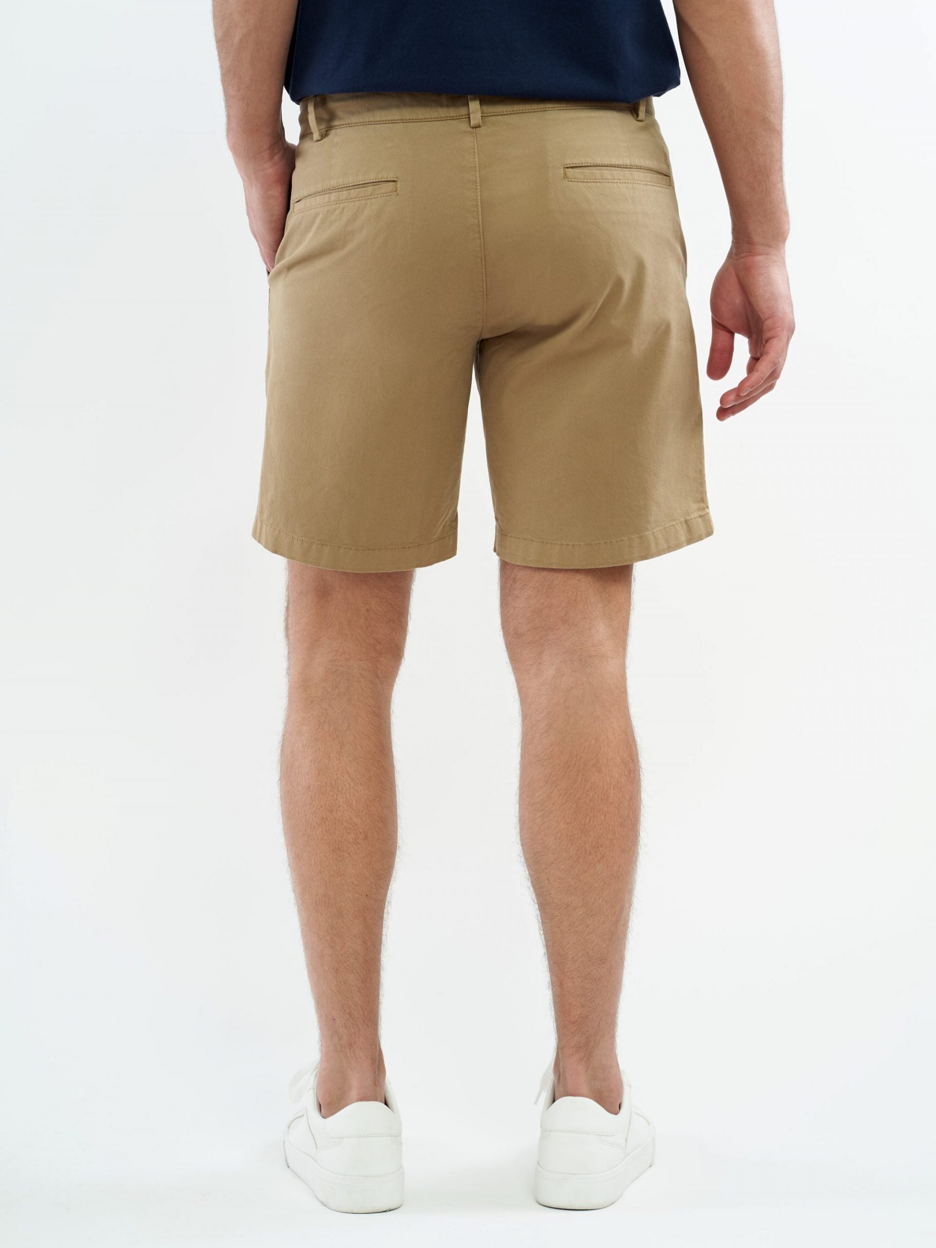 Short Camel