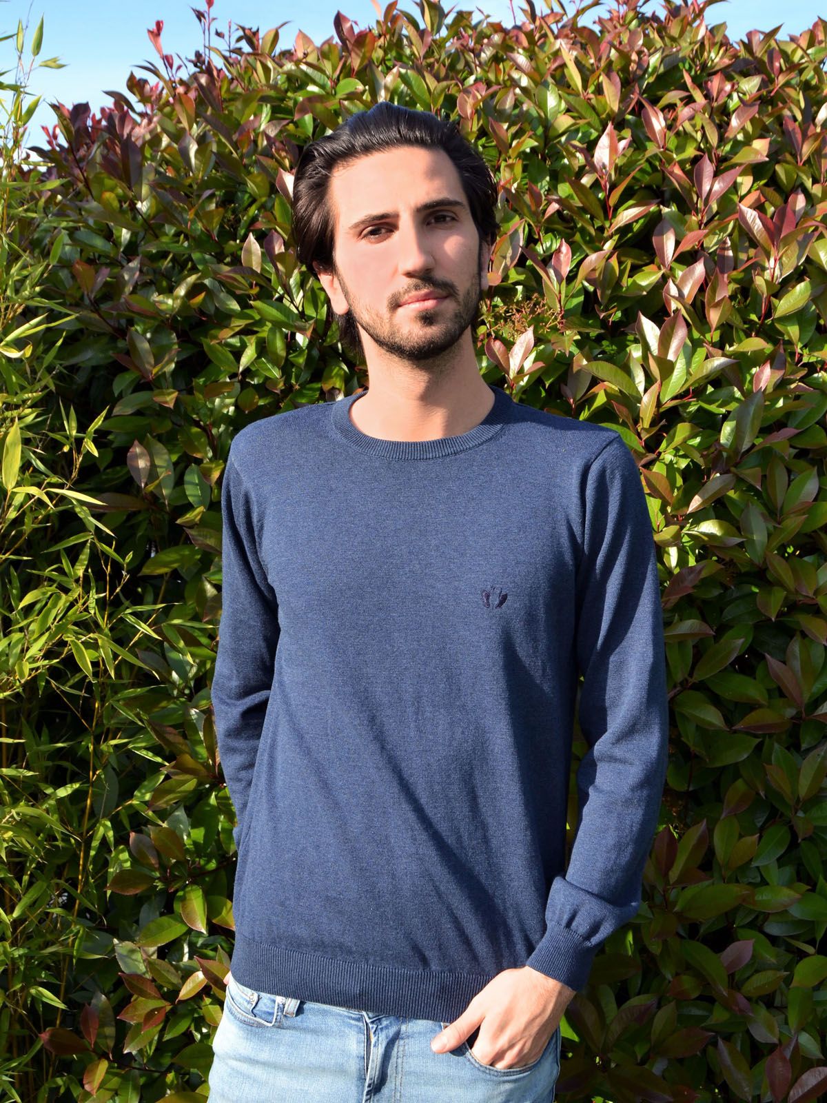 Pull Homme Le Délicat Bleu