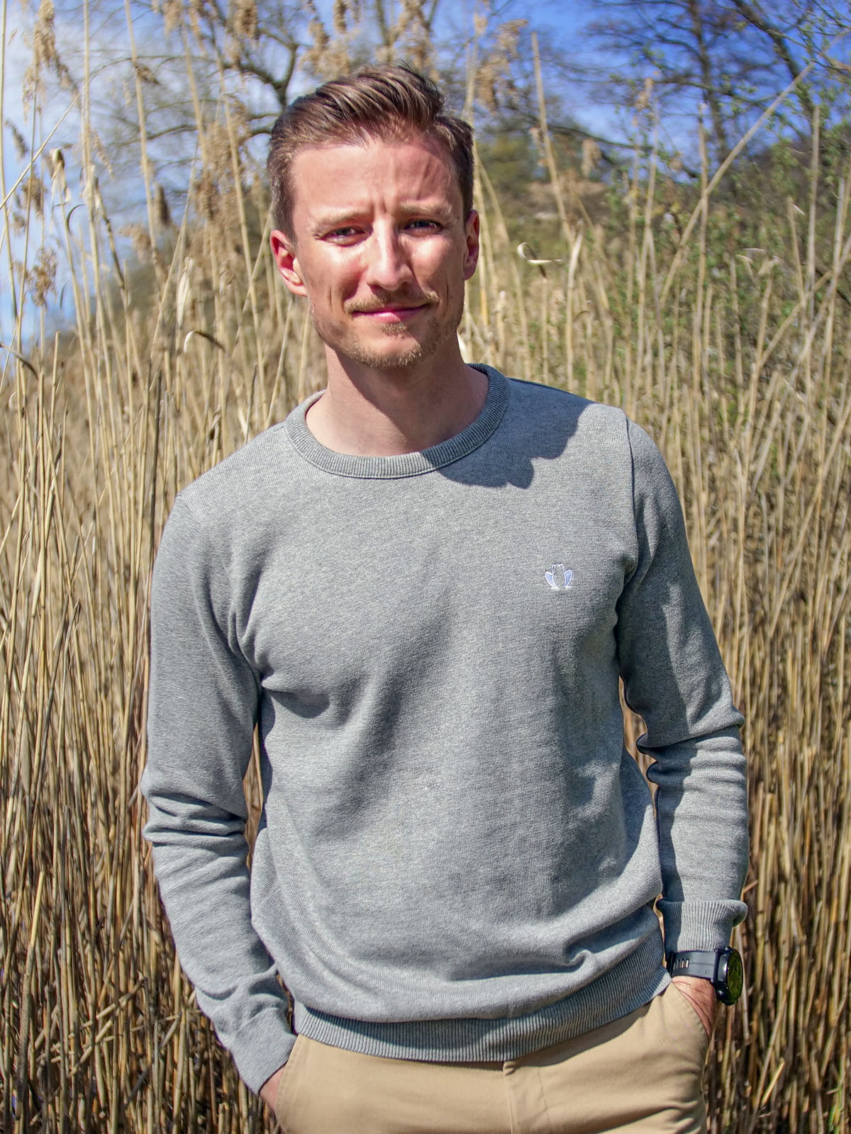 Pull Homme Le Délicat Gris