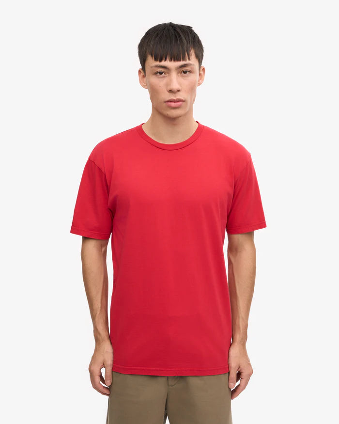 Classic Organic Tee Spring Green
