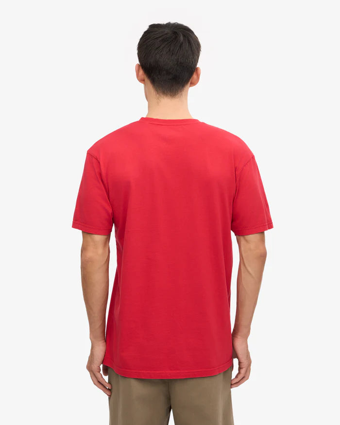 Classic Organic Tee Spring Green