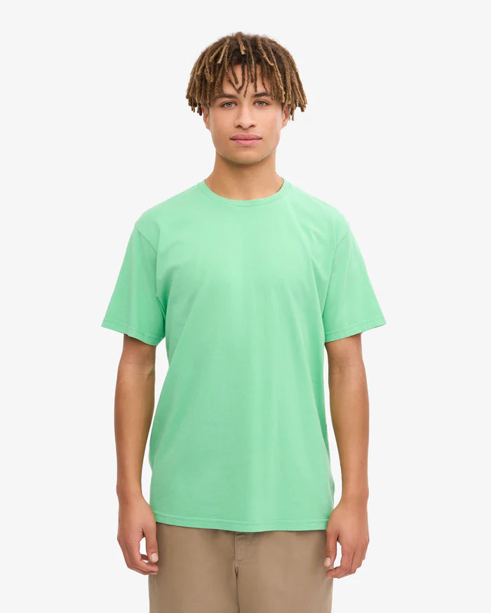 Classic Organic Tee Spring Green