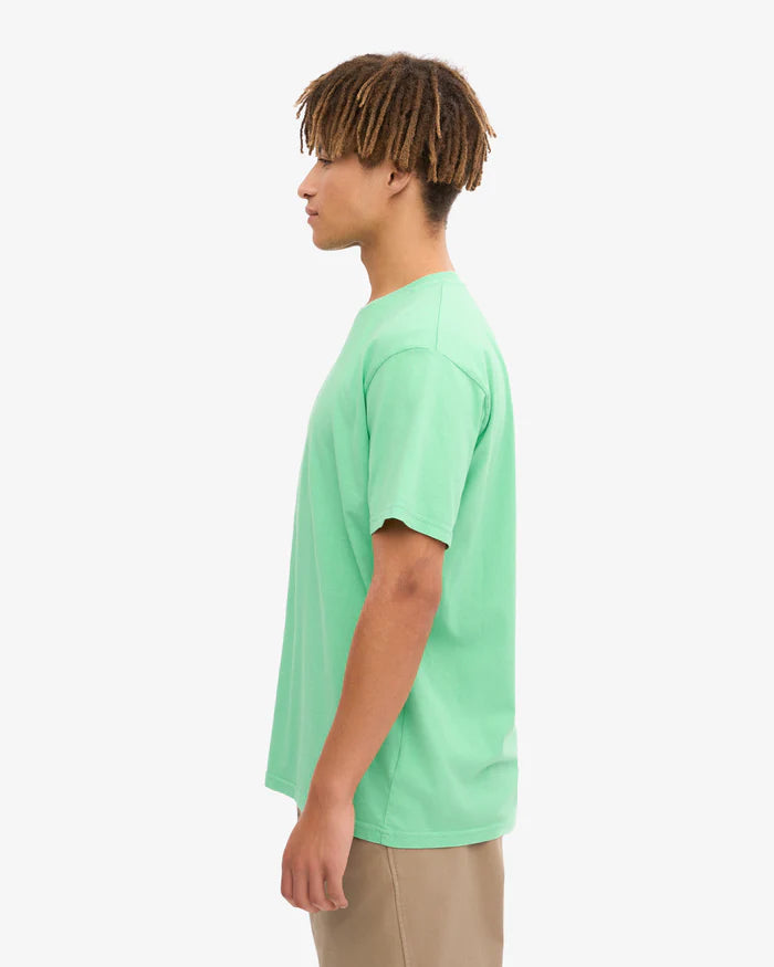 Classic Organic Tee Spring Green
