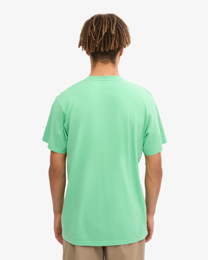 Classic Organic Tee Spring Green