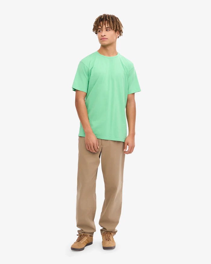 Classic Organic Tee Spring Green
