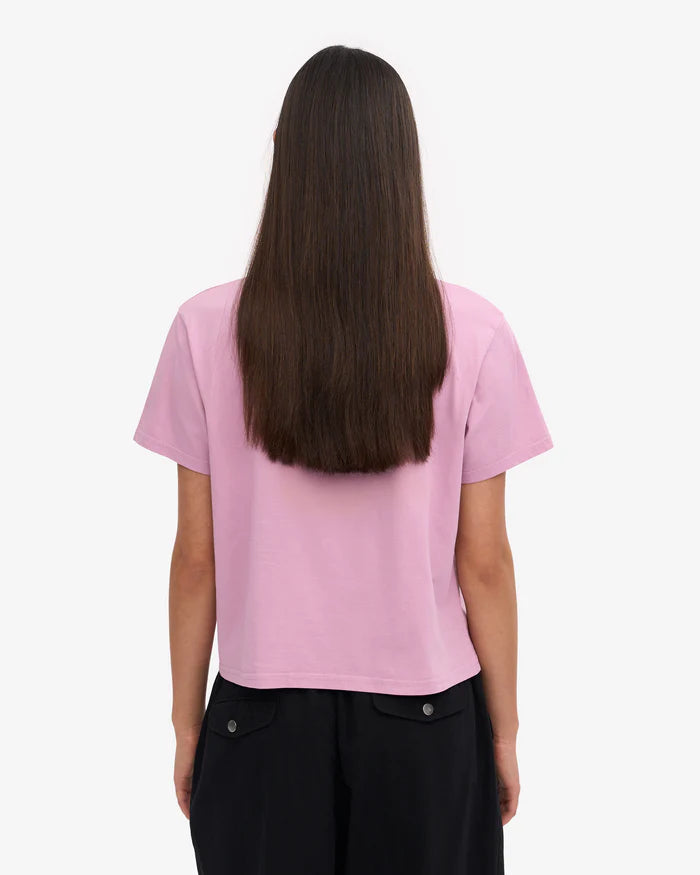 T-Shirt Boxy Crop Cherry Blossom