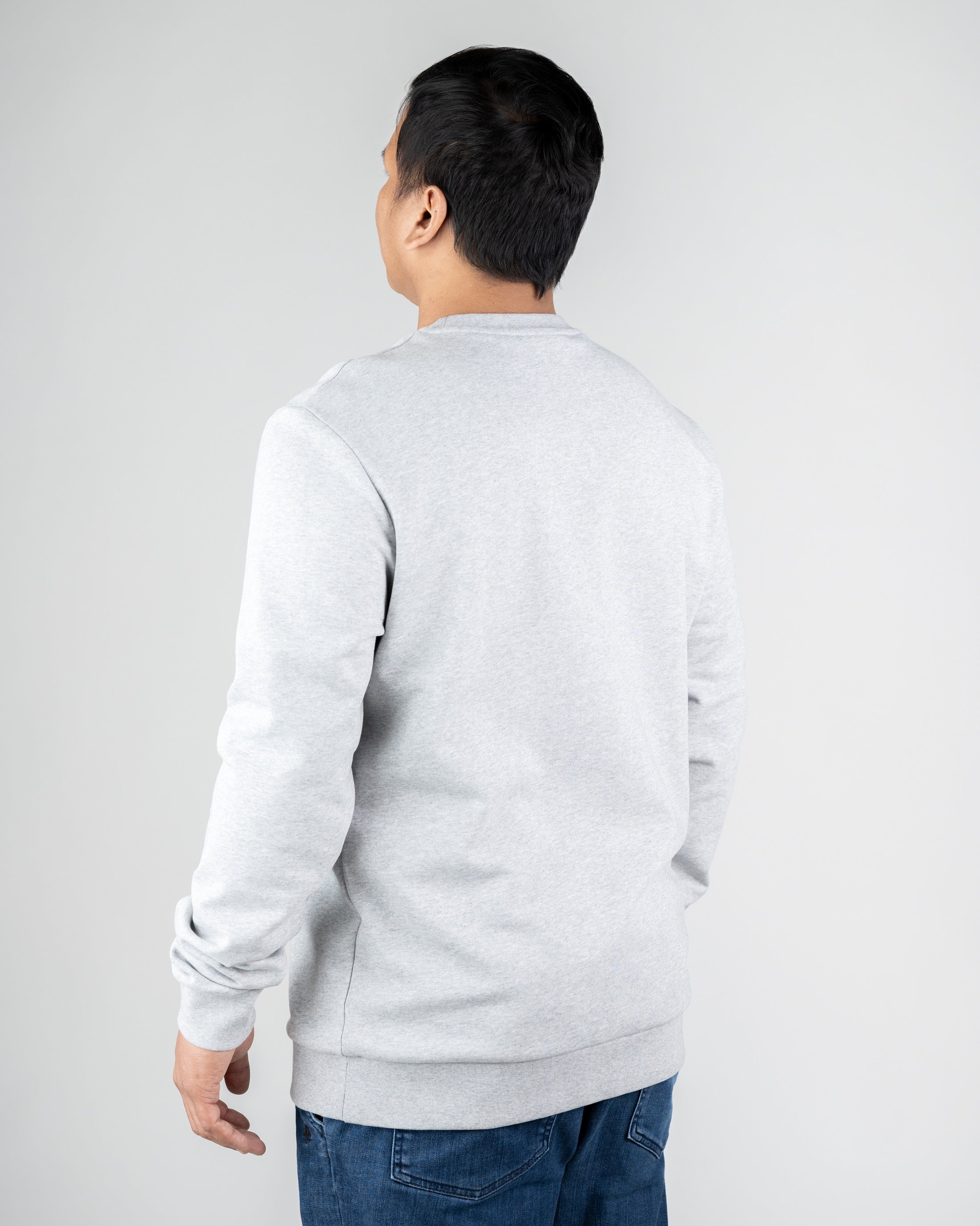 Men's organic cotton sweatshirt TreeSweater Grey