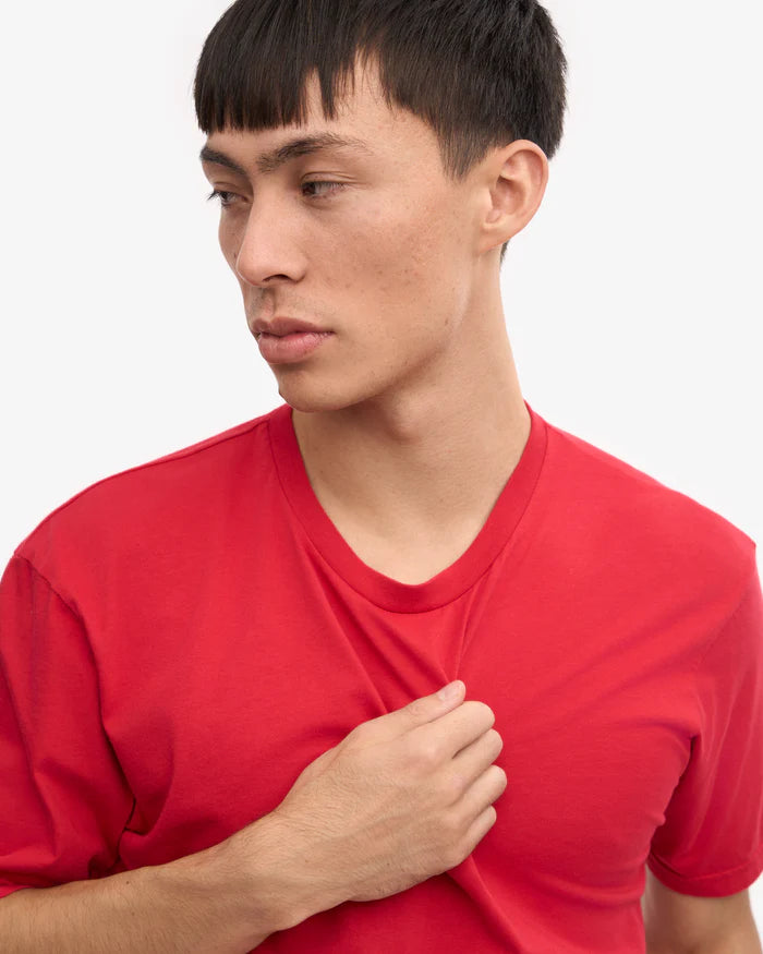 Classic Organic Tee Spring Green