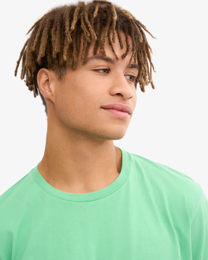 Classic Organic Tee Spring Green